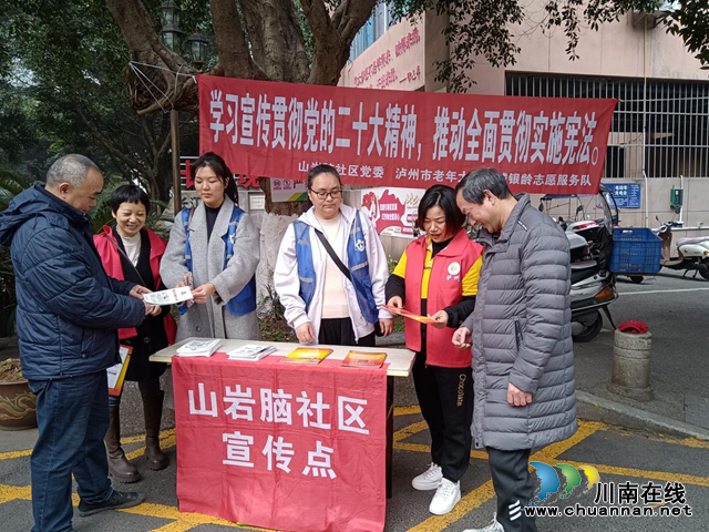 江阳区大山坪街道山岩脑社区开展宪法宣传活动