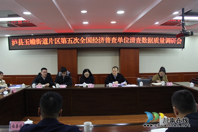 泸县统计局到玉蟾街道召开第五次全国经济普查单位清查数据质量调研会