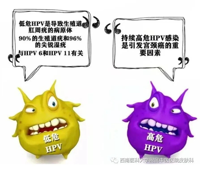 【警惕】长这种小疙瘩,当心是病毒感染!(图2) 微信图片_20231212110236.jpg