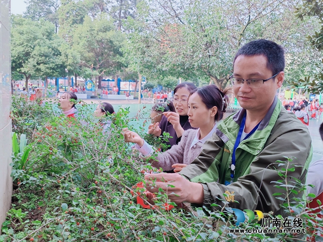 寒意浓 枸杞暖｜泸县城北小学校开展中医药文化进校园劳动实践活动