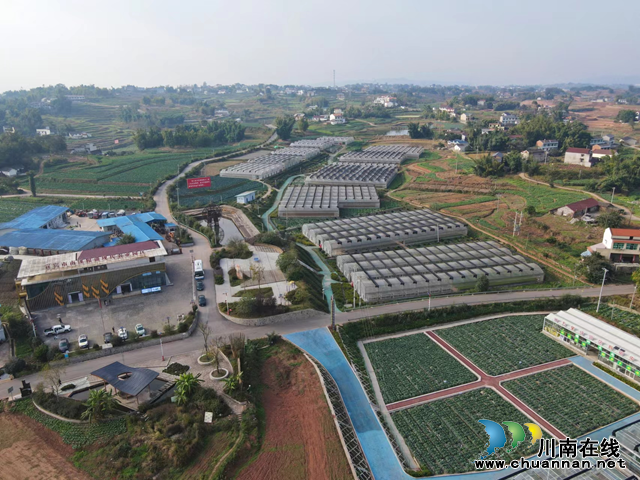 宜宾市南溪区长兴镇：园区遍地新绿，蔬菜将获丰收