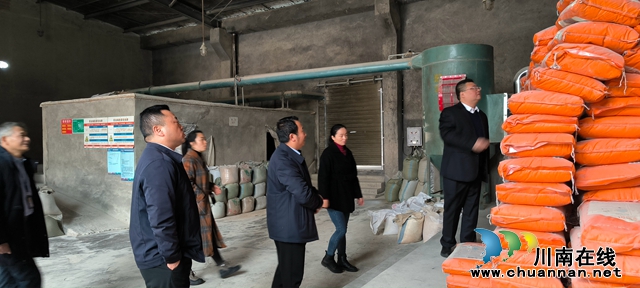 马晋宇率队到泸县云龙镇开展食品安全包保督导工作