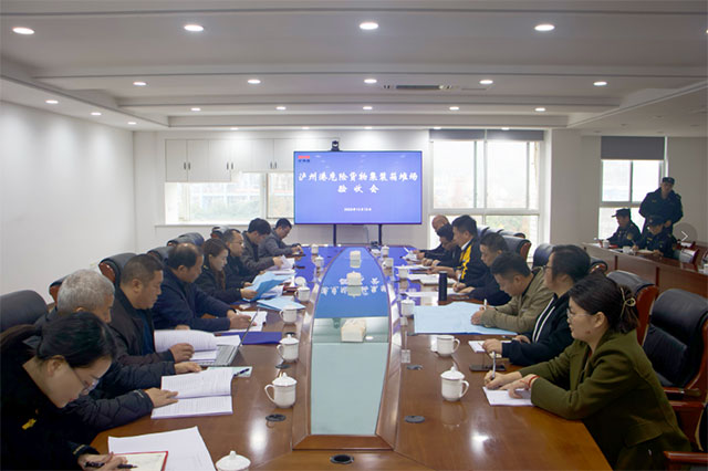 泸州港第8类、第9类危险货物集装箱堆场项目顺利通过验收