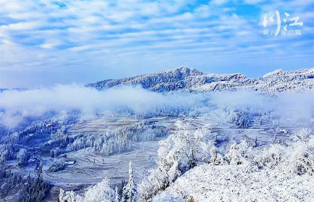 泸州今冬的第一场雪有消息了！