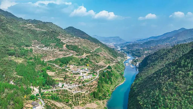 走!这个周末去古蔺"qi"甜橙,保证让你......(图8) 8.jpg