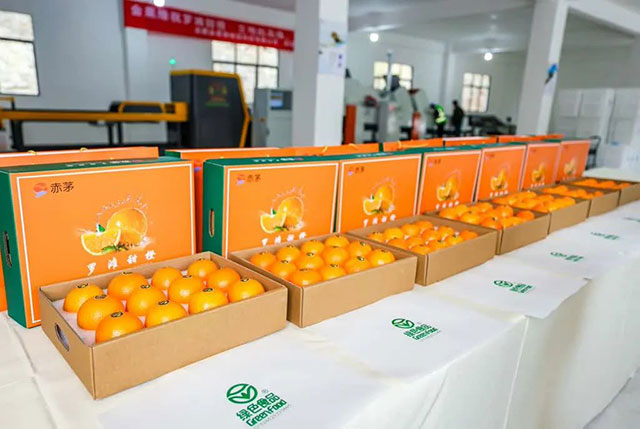 走!这个周末去古蔺"qi"甜橙,保证让你......(图16) 16.jpg