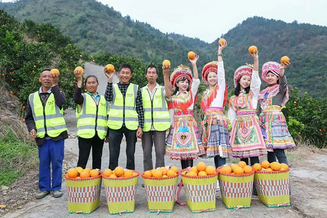 走!这个周末去古蔺"qi"甜橙,保证让你......(图15) 15.jpg