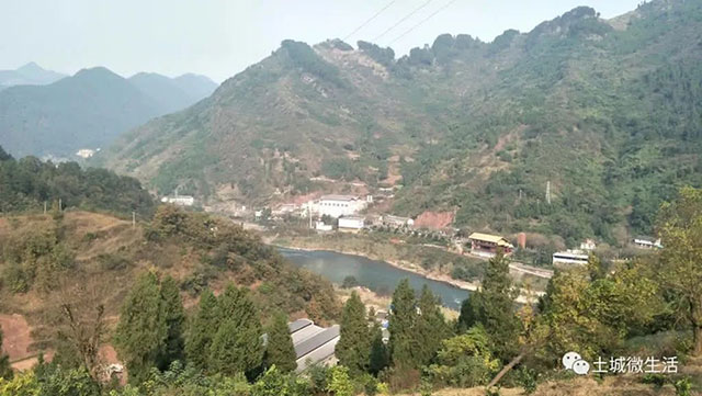 走!这个周末去古蔺"qi"甜橙,保证让你......(图17) 17.jpg