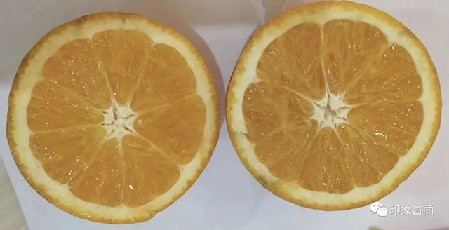 走!这个周末去古蔺"qi"甜橙,保证让你......(图20) 20.jpg