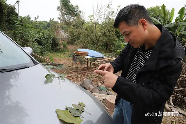 130多岁!为TA,内江已启动保护程序——(图5) 5.jpg