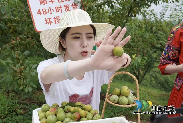 四川省唯一，全国前三十！叙永县成功入围中国国际电子商务中心农村直播电商优秀案例