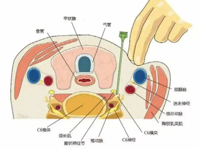 微信图片_20231220103821.jpg