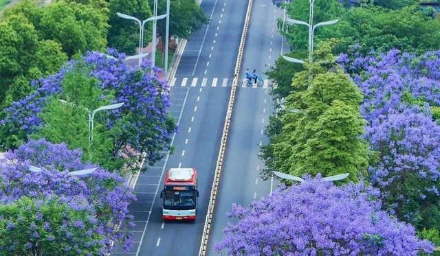 【醉美酒城 幸福泸州】公交275路敬老爱老专线伴您温暖出行~