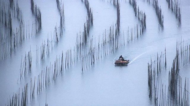 【扩散】今天起，23点前要睡觉，不然……