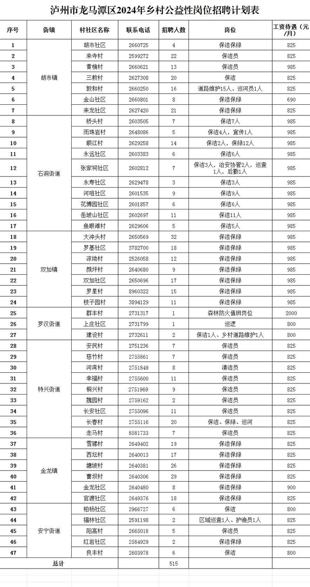 泸州市龙马潭区就业服务管理局关于2024年乡村公益性岗位招聘的公告