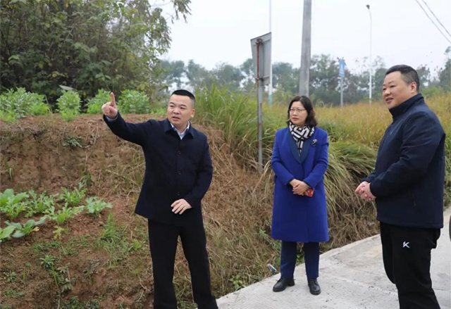 泸县人大常委会副主任罗晓玲带队到天兴镇开展节前安全检查工作