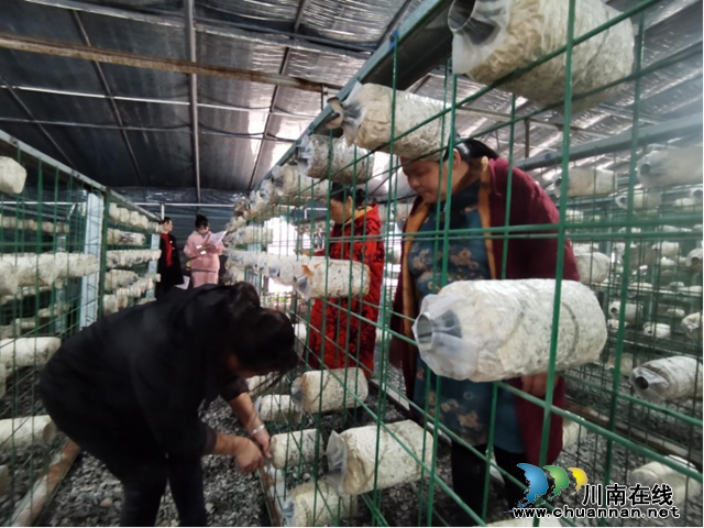 江阳区残联实地开展“残疾人之家”验收工作