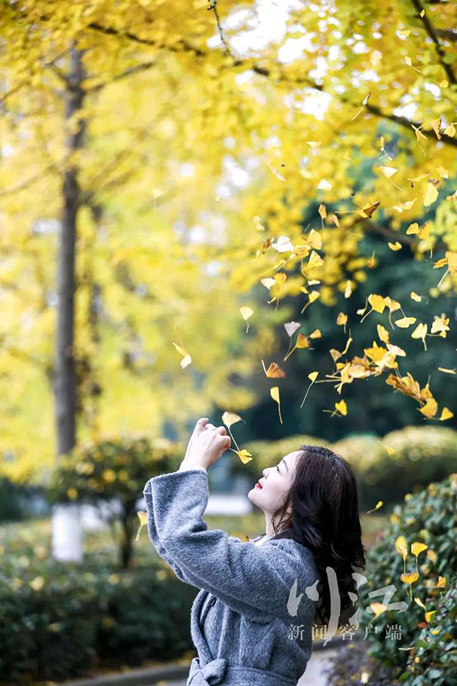 泸州元旦昼夜温差拉大！大家要快乐，更要健康哦