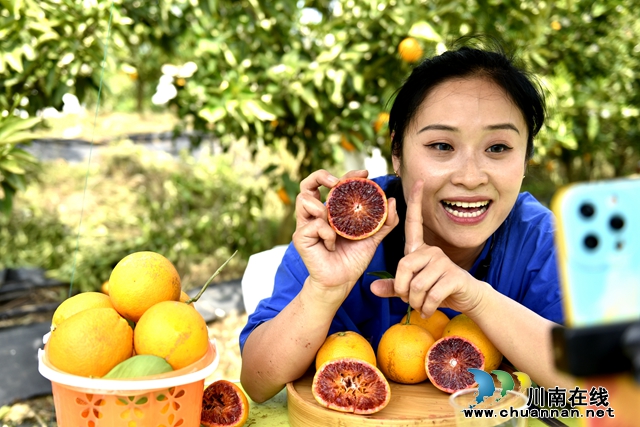 叙永县组织党政机关干部参加电子商务培训(图4) 直播带货现场.jpg