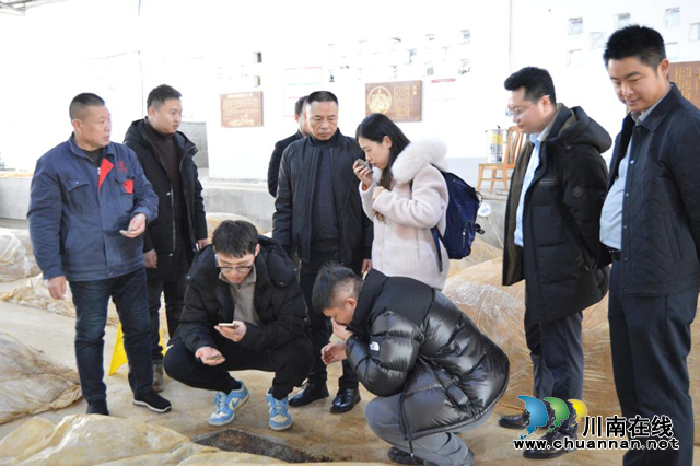 四川省轻工业研究设计院有限公司赴叙永县为酒业企业“把脉”