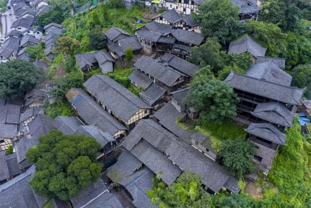 继古开今,赤心绿途,古金高速隧道独特魅力等你来打卡!(图11) 11.jpg