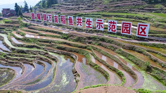 继古开今,赤心绿途,古金高速隧道独特魅力等你来打卡!(图12) 12.jpg