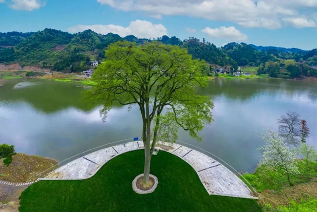 继古开今,赤心绿途,古金高速隧道独特魅力等你来打卡!(图13) 13.jpg