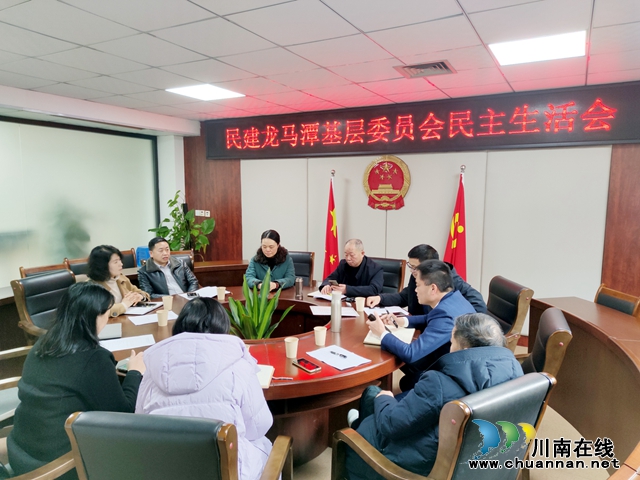 民建龙马潭区基层委员会召开民主生活会