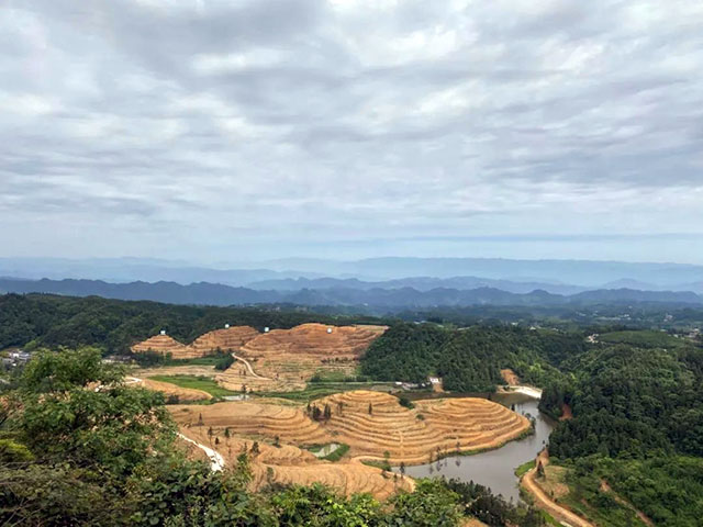 古蔺县入选2023年四川省休闲农业重点县(图6) 6.jpg