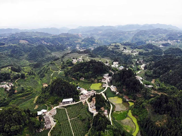 古蔺县入选2023年四川省休闲农业重点县(图7) 7.jpg