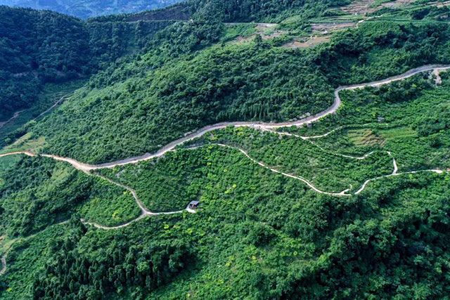 古蔺县入选2023年四川省休闲农业重点县(图9) 9.jpg