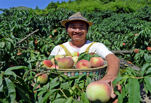 古蔺县入选2023年四川省休闲农业重点县(图10) 10.jpg