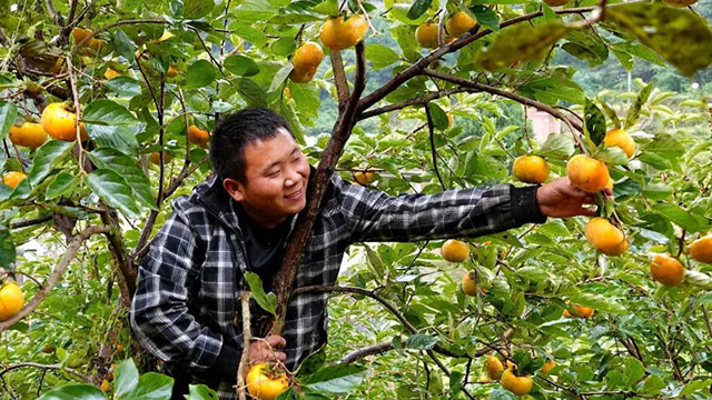 古蔺县入选2023年四川省休闲农业重点县(图13) 13.jpg