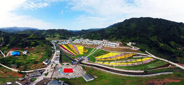 古蔺县入选2023年四川省休闲农业重点县(图16) 16.jpg