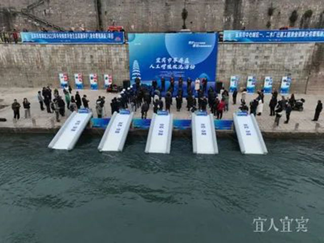 宜宾放鱼了！49.47万尾珍稀鱼类游进长江