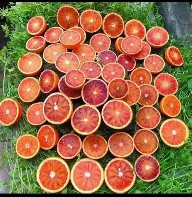 内江发布重磅信息：逾5万吨各类水果即将上市，广邀买家