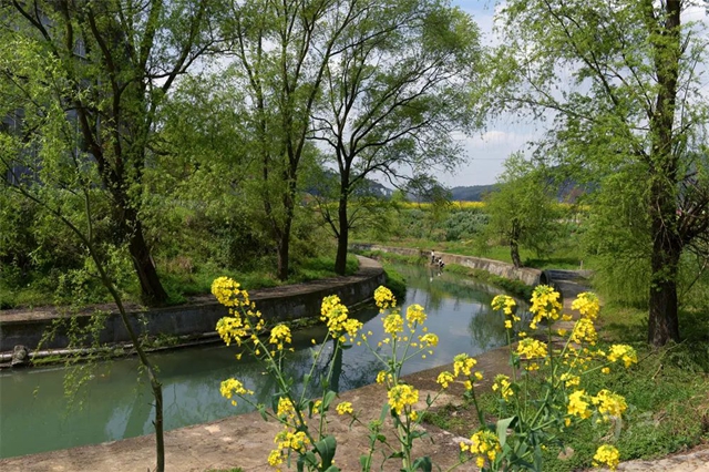 你去过吗？泸州新增一处省级水利风景区