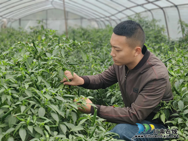 宜宾市南溪区长兴镇：“90后”返乡青年 做乡村振兴“追梦人”