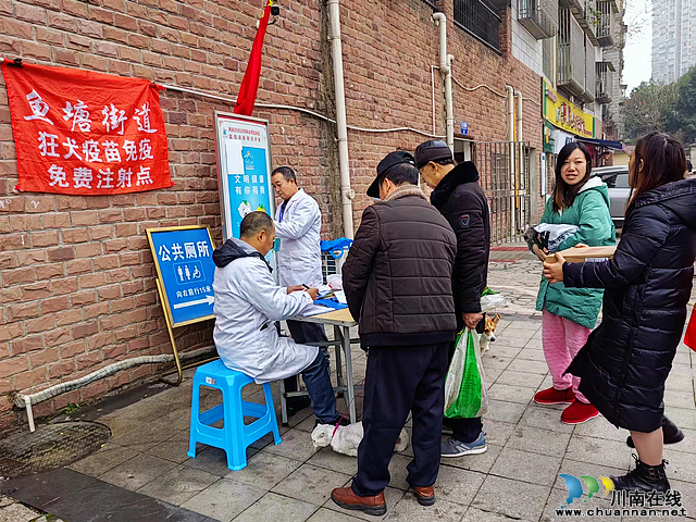民心守护|鱼塘街道：犬只接种疫苗,保障人畜健康