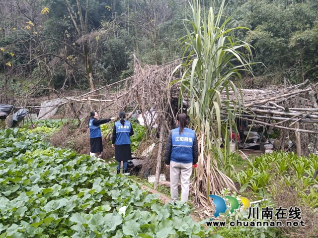 江阳区华阳街道龙腾社区开展野外防火安全排查