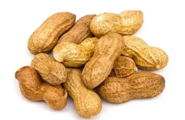 【杏林学堂】生花生和熟花生,哪个更营养?提醒:5类人最好少碰,别不当回事(图3) 微信图片_20240124101714.jpg