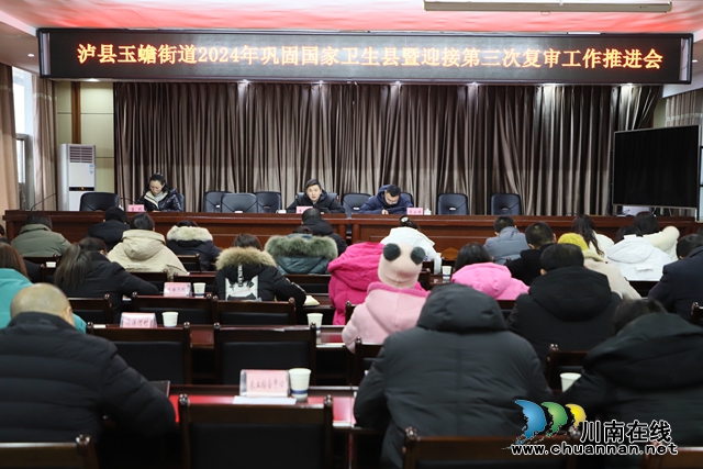 泸县玉蟾街道召开2024年巩固国家卫生县暨迎接第三次复审工作推进会
