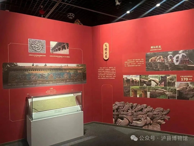 还有人不知道？“川妈”接泸县龙宝宝去省城过年