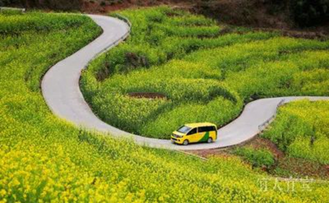满山都黄了!宜宾屏山万亩油菜花开啦!(图5) 微信图片_20240130103307.jpg