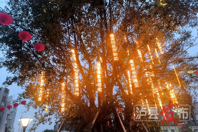 年味“气氛组”上线!泸县这里的“灯光秀”陪您度新春(图10) 微信图片_20240130105608.jpg