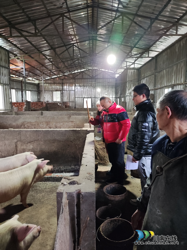 龙马潭区鱼塘街道：稳生猪生产 保市场供应