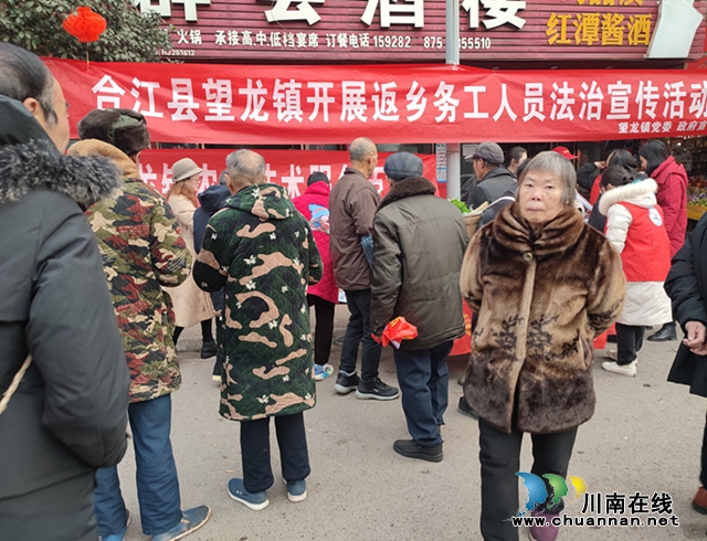 凝聚法治力量，赋能基层治理｜合江县望龙司法所开展外出务工返乡人员法治宣传活动
