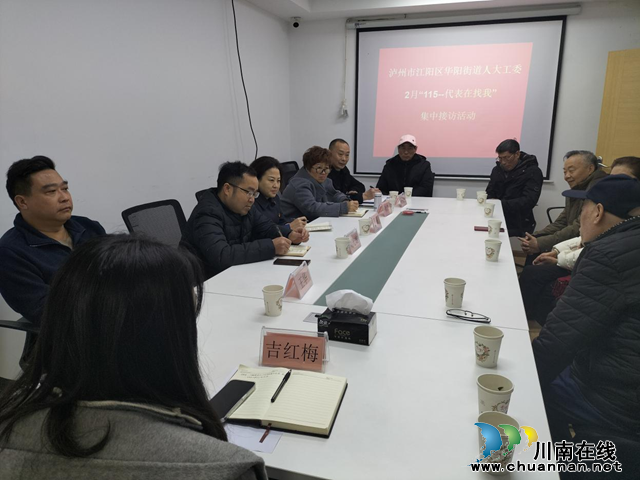 听民意，解民忧｜江阳区华阳街道瑞景社区开展“115-代表表在找我”集中接访活动