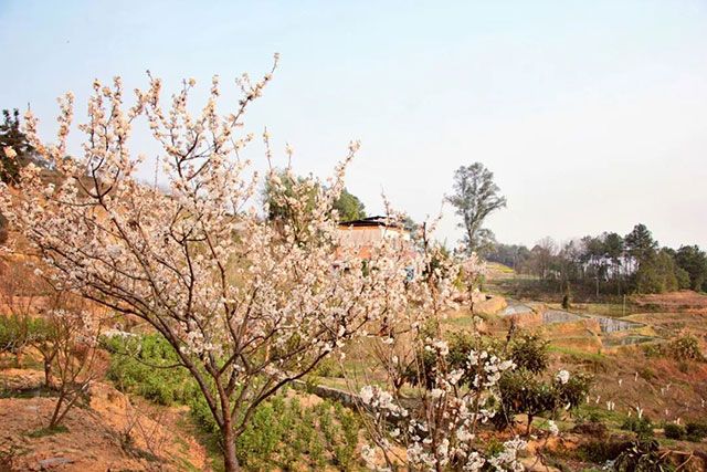 前方到站——国家3A级景区:泸县“道林沟”(图4) 4.jpg