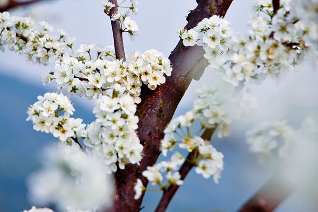 前方到站——国家3A级景区:泸县“道林沟”(图7) 7.jpg